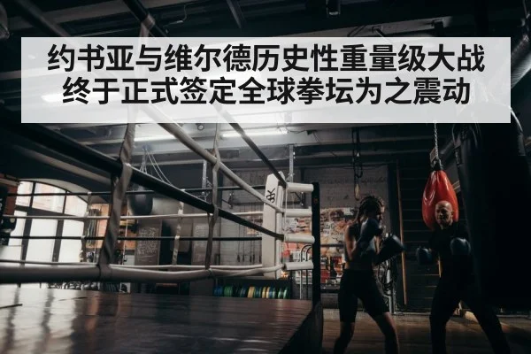 约书亚与维尔德历史性重量级大战终于正式签定全球拳坛为之震动