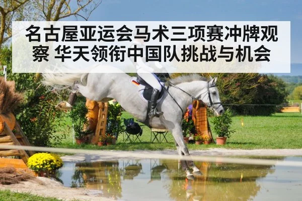 equestrian cross country horse